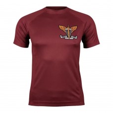 Футболка Coolmax ДШВ Статутна Maroon